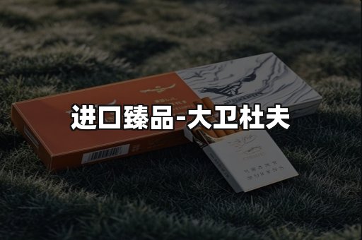 进口臻品
